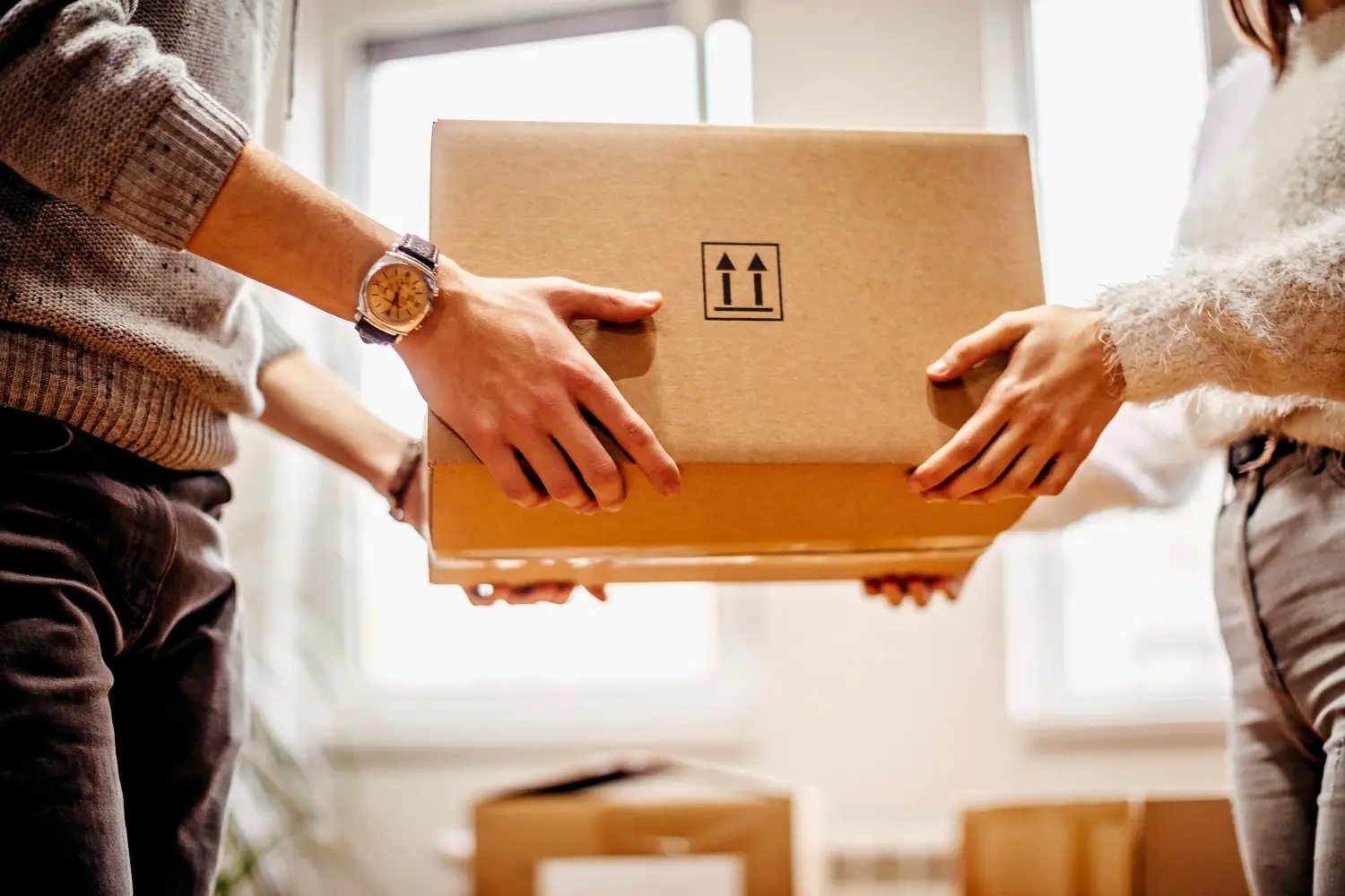 Mudanzas Económicas